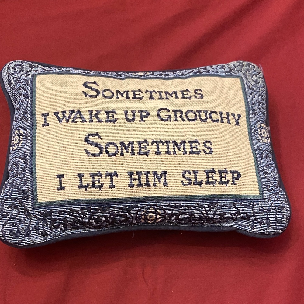 Decorative Blue and Cream Pillow with Humorous Quote